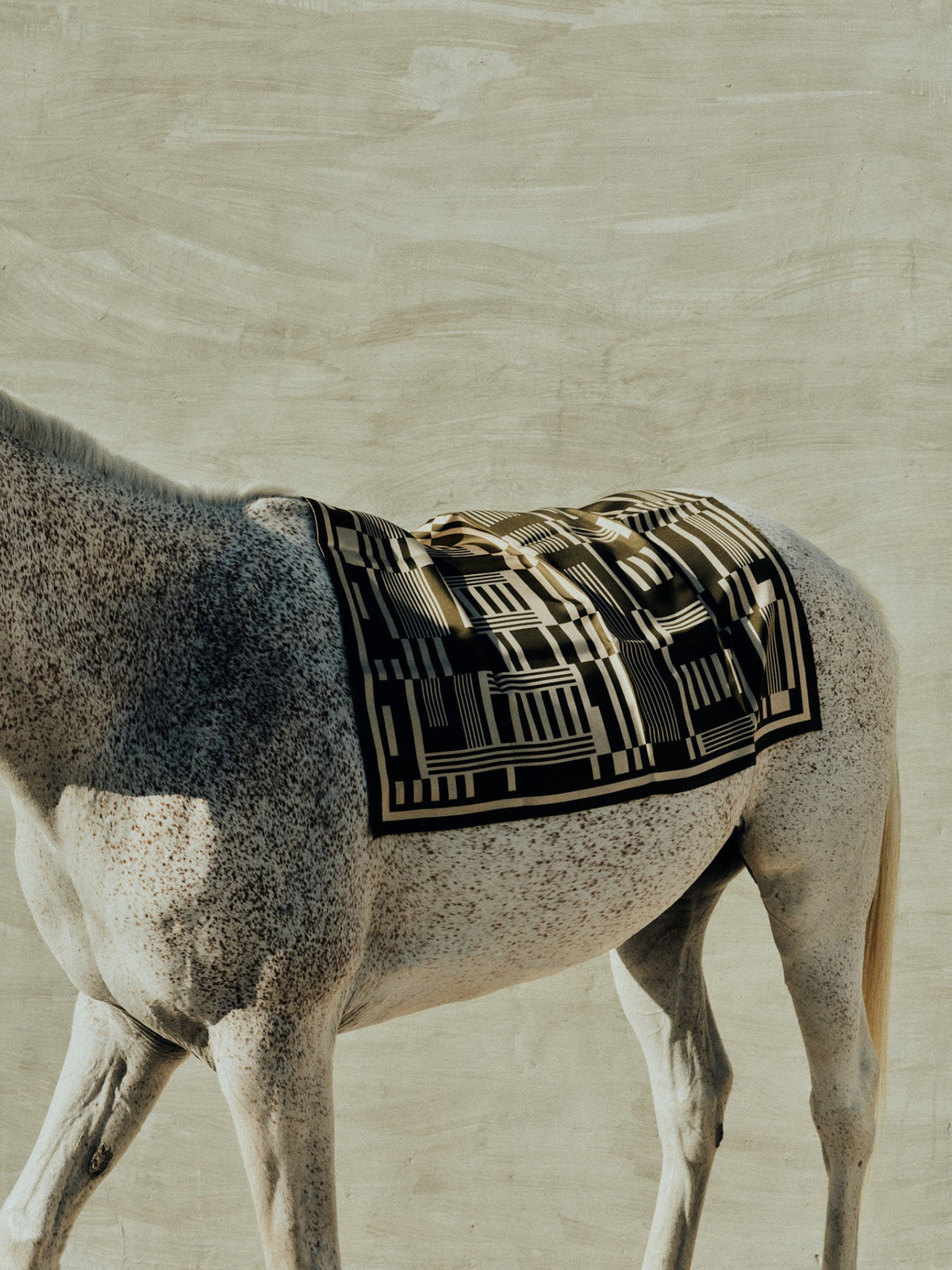 The Maison d'Etto stable scarf on Utah sandstone