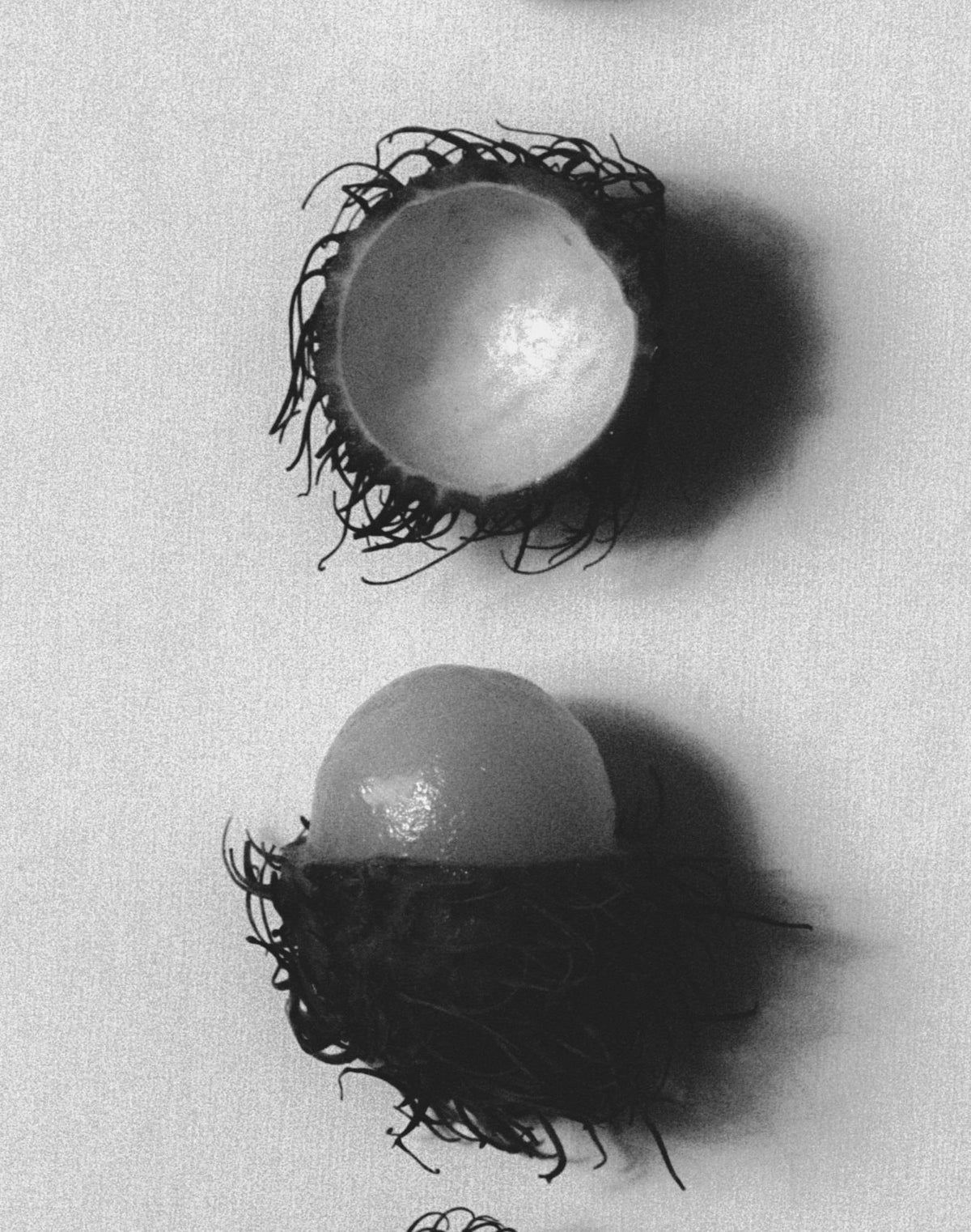 Rambutan