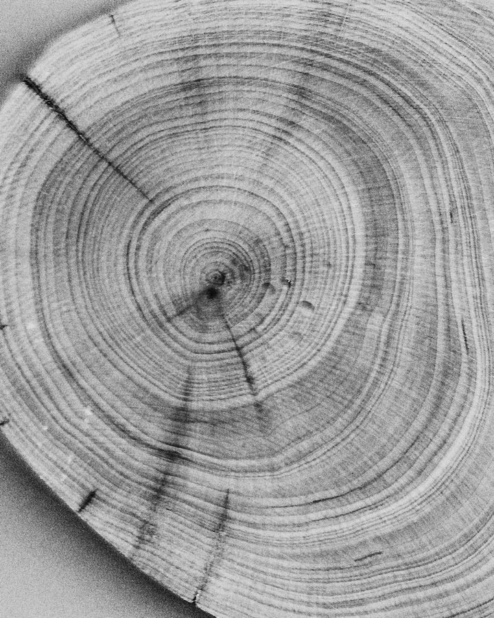 Cedarwood