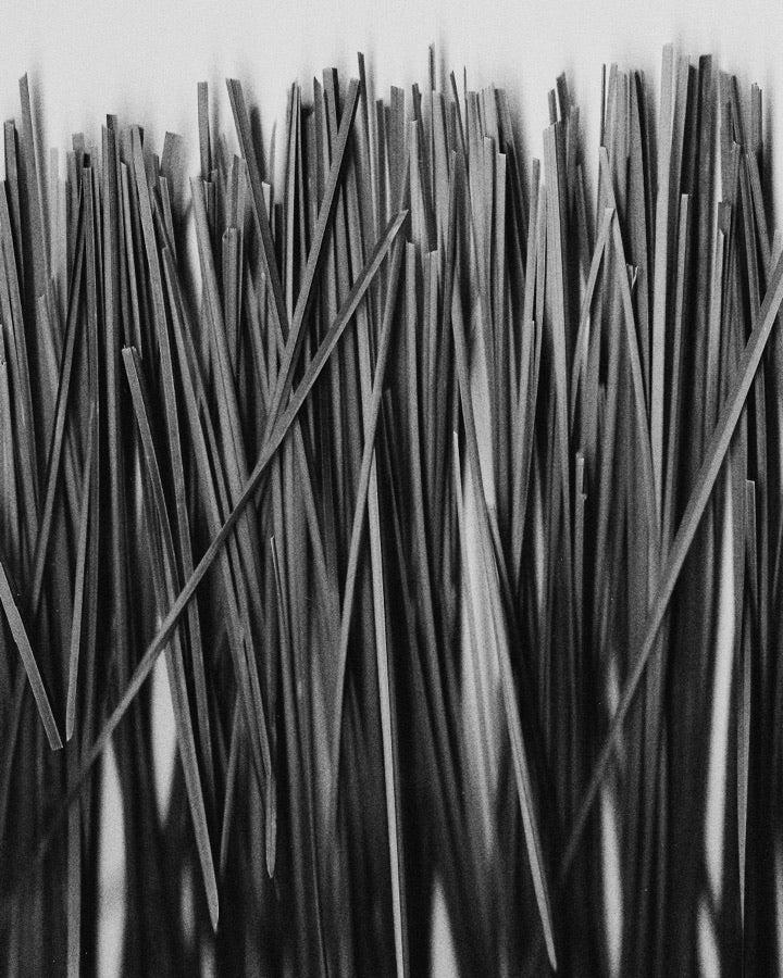 Cut Grass