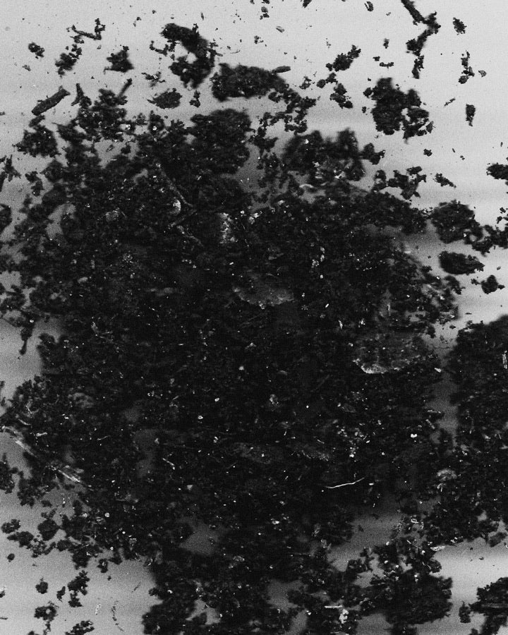 Fresh Earth