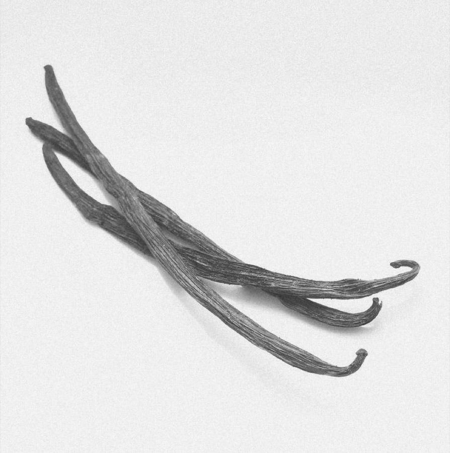 Vanilla Bean