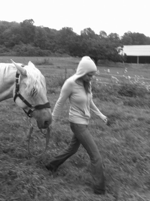 Noisette, the horse behind the fragrance