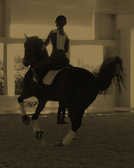 Rotano, the horse behind the fragrance